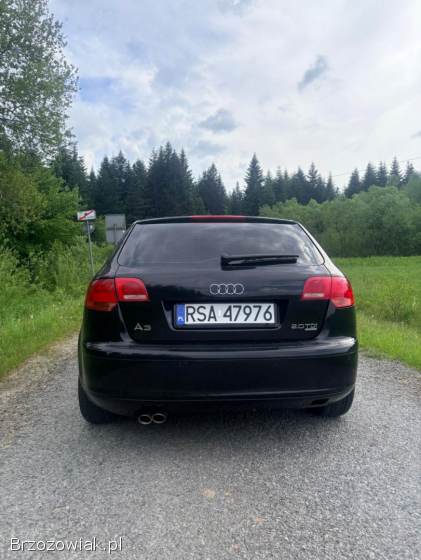 Audi A3 8P 2006