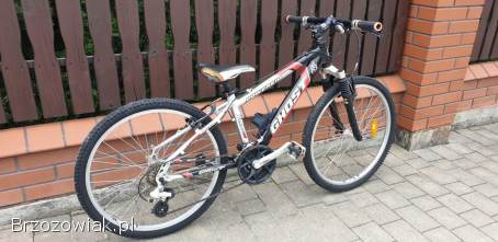 Rower 24 cale cena 460 zl