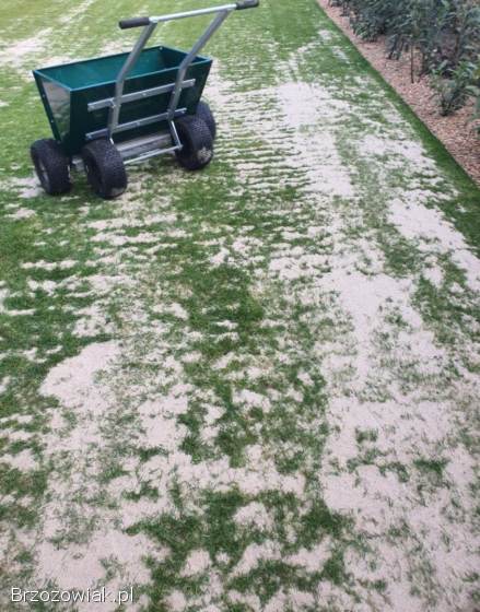 Posypywarka do piasku zielony spaw -  wypożyczalnia