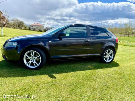 Audi A3 8P 2007