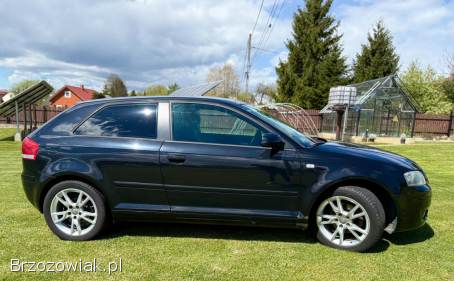 Audi A3 8P 2007