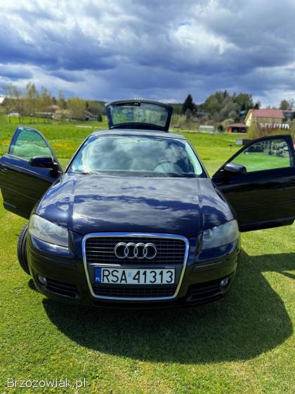 Audi A3 8P 2007