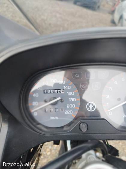 Yamaha XJ 600S 1995