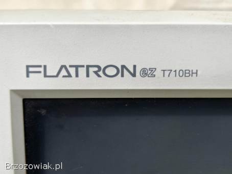 Monitor CRT LG