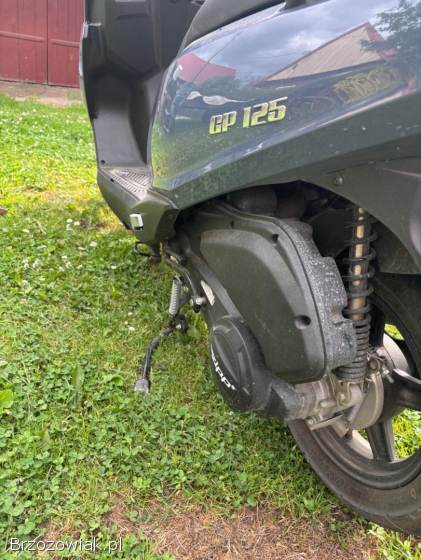 Romet Zip gp  2023
