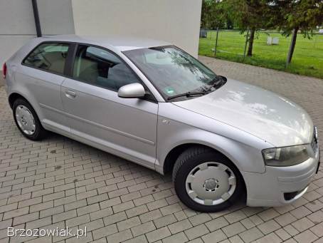 Audi A3 Benzyna 1.  6 8V 2003