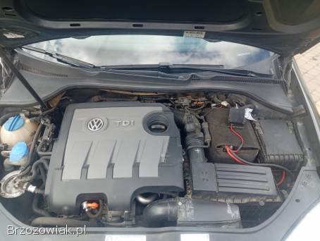 Volkswagen Jetta Sedan 2009