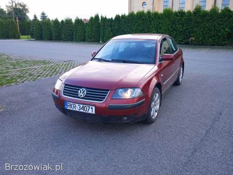 Volkswagen Passat 2002