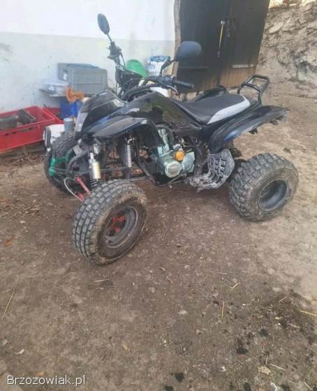 Bashan catbrier 250cc
