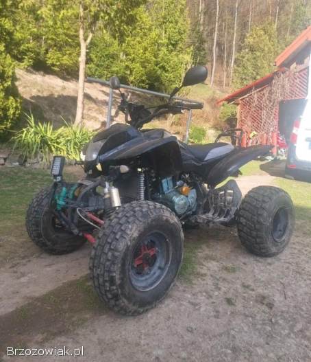 Bashan catbrier 250cc