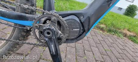 Rower elektryczny FOCUS BOLD 2