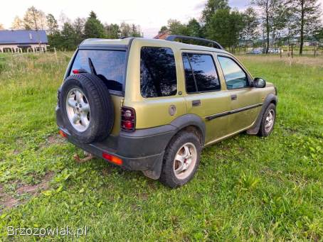 Land Rover Freelander 1999