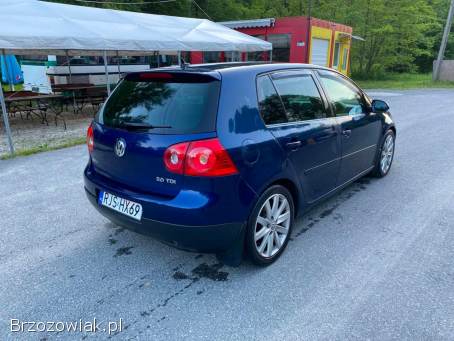 Volkswagen Golf 2007