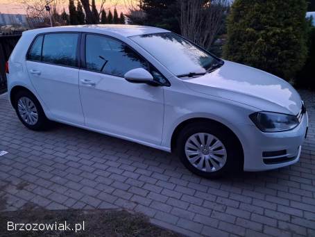 Volkswagen Golf VII 2013