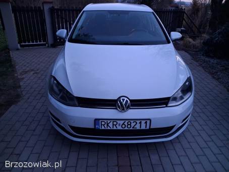 Volkswagen Golf VII 2013