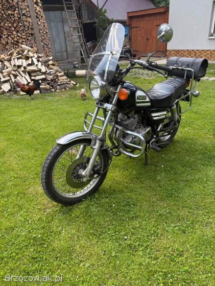 Suzuki GN GN250 2001