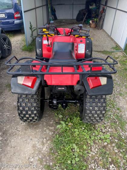 JIANSHE PUMA 250
