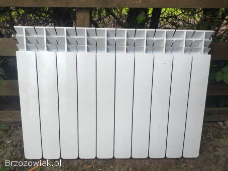 Grzejniki płytowe 600x900,  600x800 oraz grzejnik aluminiowy Alice 500