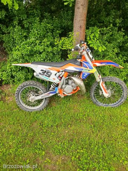 KTM SX 2019