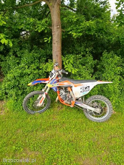 KTM SX 2019