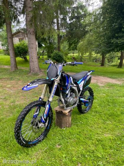 Yamaha YZF YZF  2009
