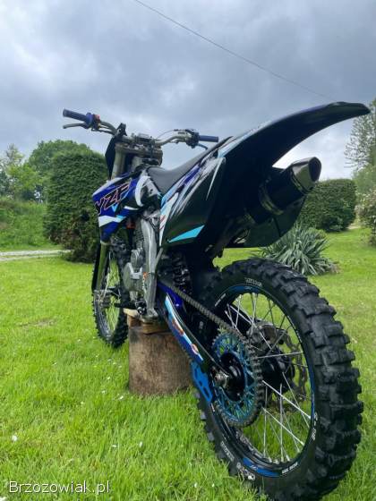 Yamaha YZF YZF  2009