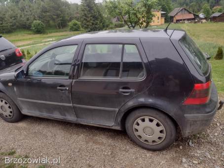 Volkswagen Golf 5 drzwi 1999