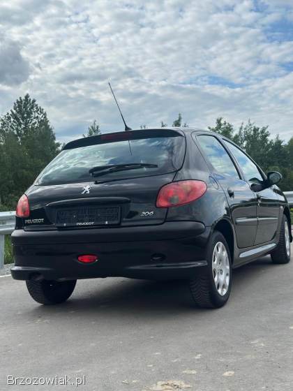 Peugeot 206 1.  4 Benzyna  2009