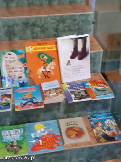 Książki lektury szkolne klasa 1-4