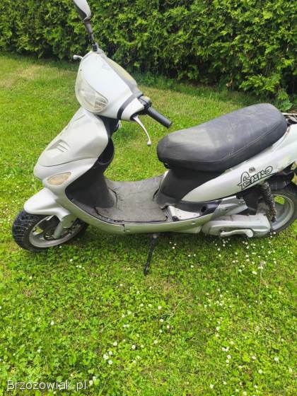 Ferro 301-2 2011