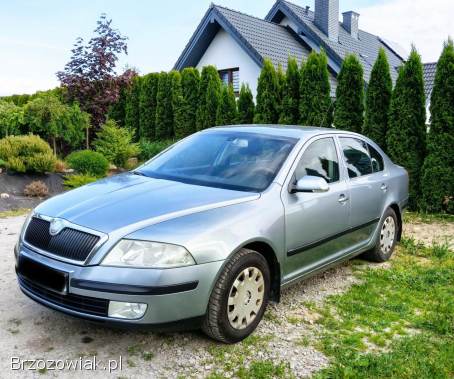 Škoda Octavia 1,  6 MPI lpg gaz 2006