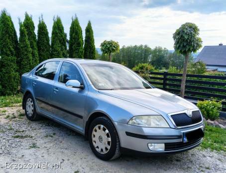 Škoda Octavia 1,  6 MPI lpg gaz 2006