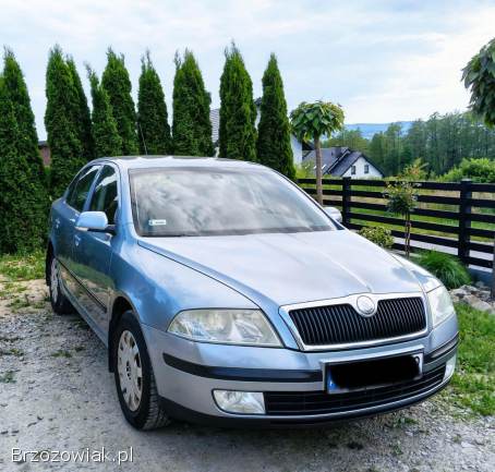 Škoda Octavia 1,  6 MPI lpg gaz 2006