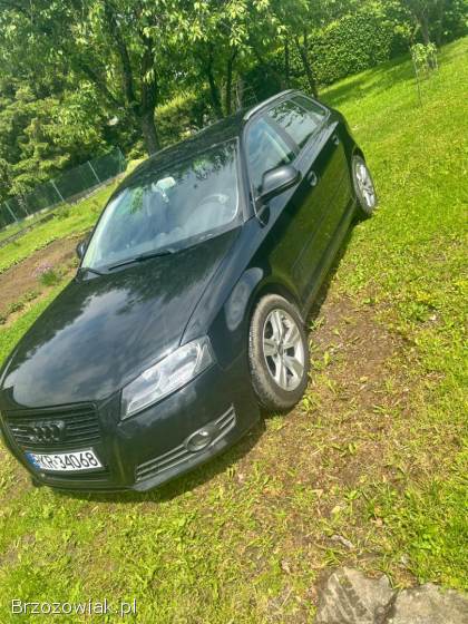 Audi A3 8P 2008