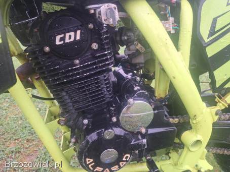Cross ALFARAD 250 CC 21r