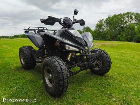 Basham 250