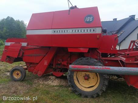 Massey Ferguson 186 kombajn zbożowy