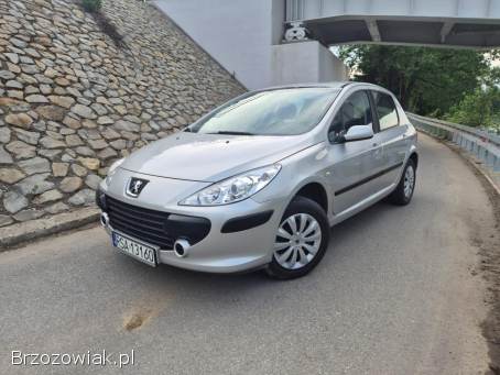 Peugeot 307 1.  6 HDi 90KM 2006