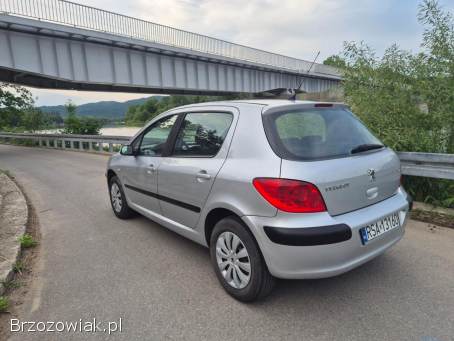 Peugeot 307 1.  6 HDi 90KM 2006