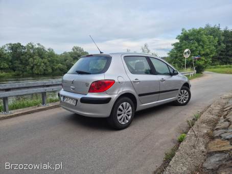 Peugeot 307 1.  6 HDi 90KM 2006