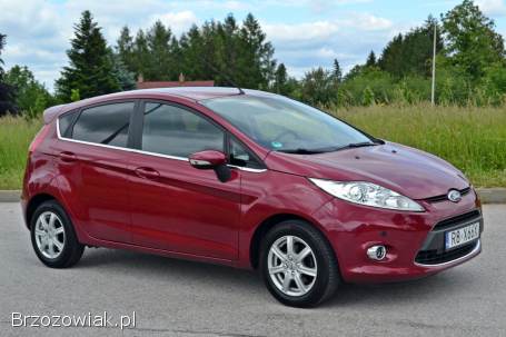 Ford Fiesta Mk7 titanium 1.  4 2009