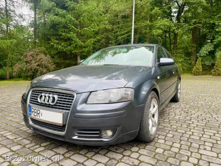 Audi A3 8P 2007