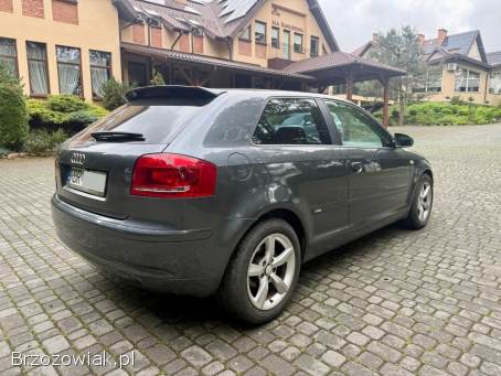 Audi A3 8P 2007