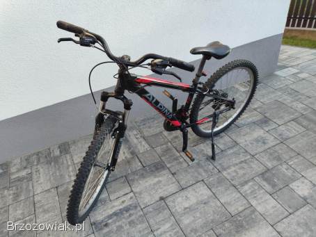 Rower Alpina