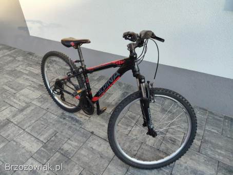 Rower Alpina