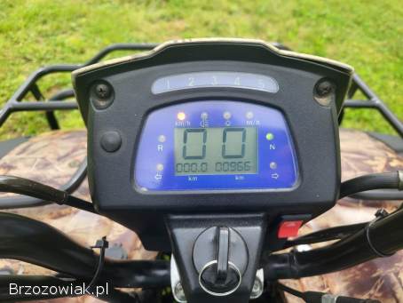 Quad 250cc