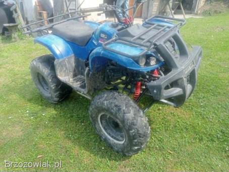 Quad bashan 150
