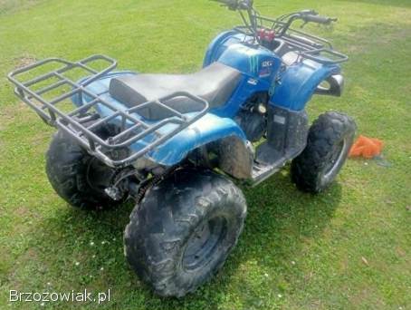 Quad bashan 150