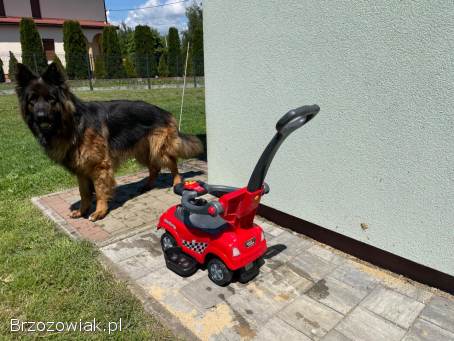 Auto dla dziecka 1-3 lata