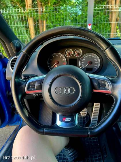 Audi S3 8p 2009